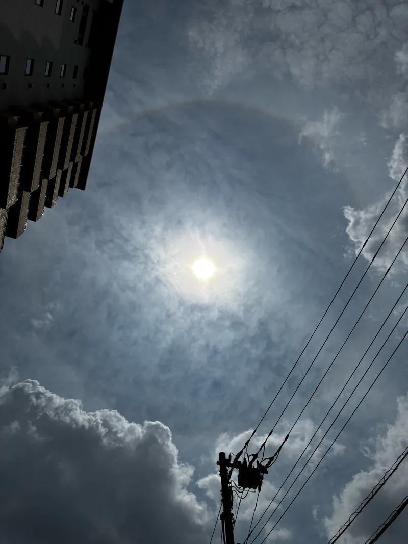 太陽を囲む雲と電線が印象的な空